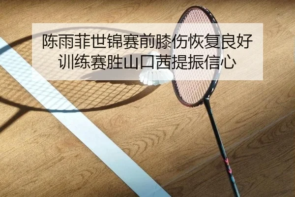 chen-yu-fei-shi-jin-sai-qian-xi-shang-hui-fu-liang-hao-xun-lian-sai-sheng-shan-kou-qian-ti-zhen-xin-xin-3-580.jpg